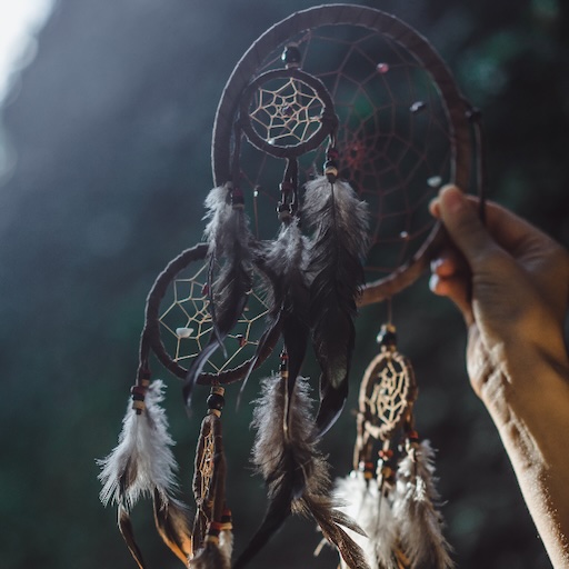 Cultural institutions and heritage organizations